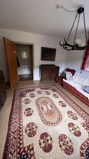 Wohnzimmer/Schlafzimmer unten2
