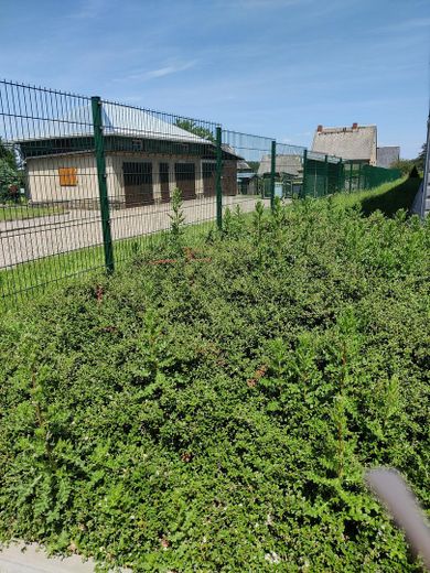 Wohnen im Herzen von Penig – Garage vom Nachbargrundstück