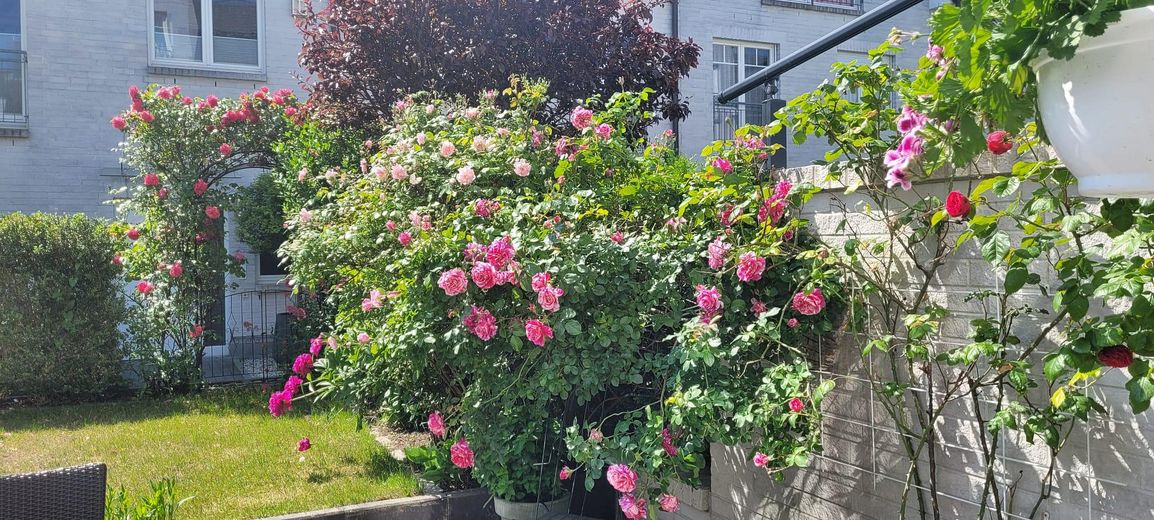 Stadthaus / Townhouse in Hamburg - Eimsbüttel mit unverbaubaren Blick in den Stadtpark Eimsbüttel – Garten hinten