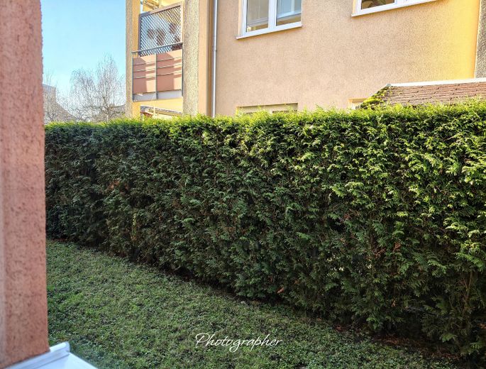Leben...Wohnen...Genießen. Ruhig, grün und zentral -  Exklusive Gartenwohnung, die begeistert – Foto 9