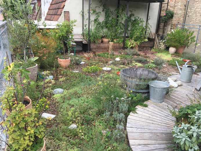 Dachgarten Dachgeschoß