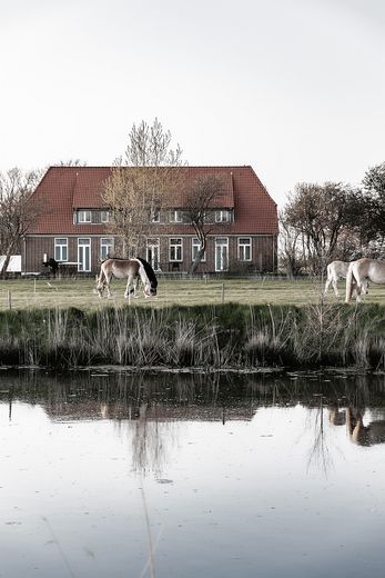 Außenansicht Digeskolen