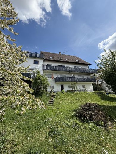 Rücks z. Garten u. d Vogesen