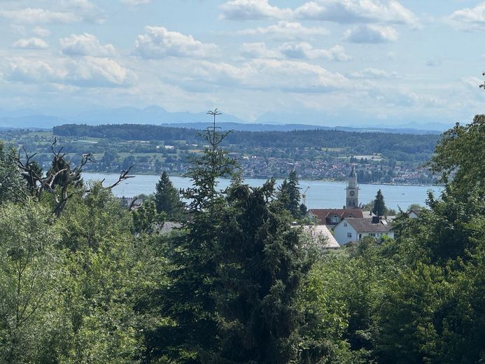 Traumhaftes Einfamilienhaus mit Seesicht im Guggenbühl – See- und Bergsicht