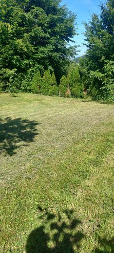 Terreno per il tempo libero top con splendida vista, casetta da giardino, area barbecue, acqua, alberi da frutto e da noce – Photo 13