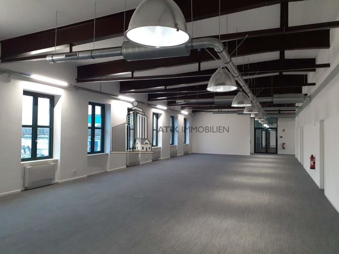 ATIK: Loft-Charakter mit moderner Flächengestaltung im Turbinenwerk, Haus Boveri - provisionsfrei – Preview