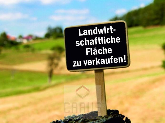 Landwirtschaftliche Flächen Gemeindegebiet Stephansposching – Foto 1