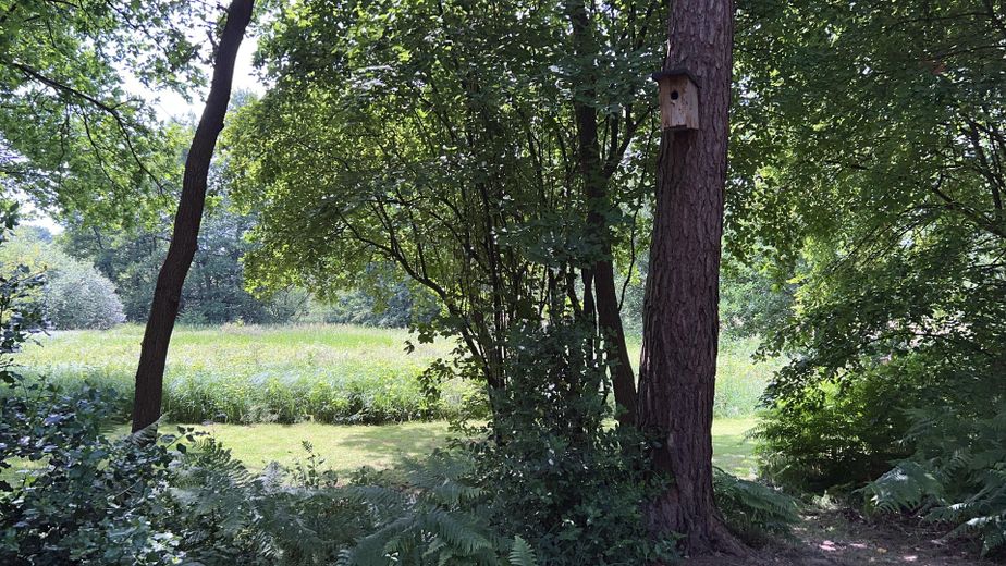 TOPLAGE: AUßERGEWÖHNLICHES ANWESEN MIT EIGENEM FLUßUFER (AUF ANFRAGE) – Blick im unteren Garten