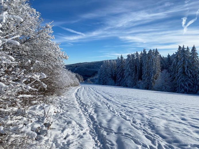 58 m² - Effizienzhaus - Erstbezug - Balkon - Aufzug - Sauna - Luftkurort - Rothaargebirge – Winteraussicht unterhalb