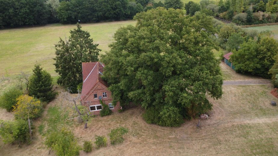 Casa unifamiliare / ex azienda agricola con grande terreno in posizione tranquilla – Foto 8