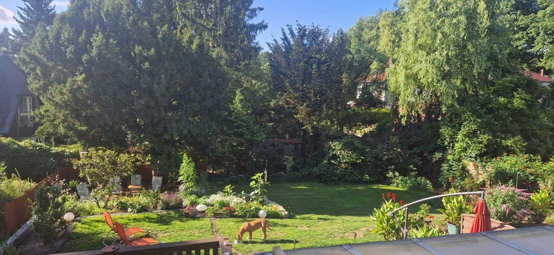 Lujoso apartamento de 2 habitaciones completamente renovado con balcón orientado al sur y vistas al jardín – Blick vom Balkon in den Garten