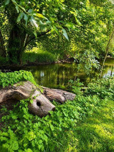 Reetdachhaus mit Charakter in der Nähe von Zarrentin am Schaalsee OT Bantineschichten erzählt – Natur pur