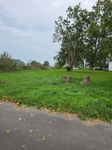 1.298 m² Baugrundstück auf Rügen mit positiver Bauvoranfrage! – Blick von der Strasse