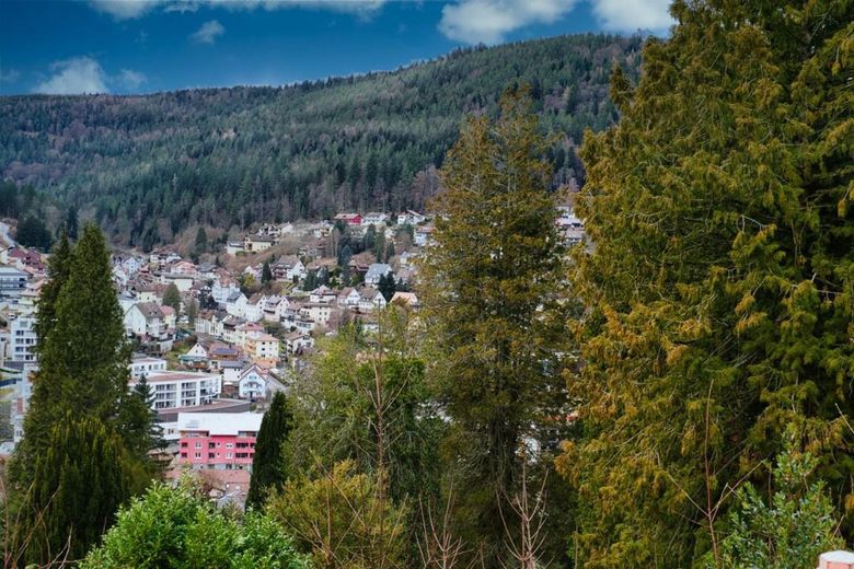 Allerbeste Aussicht über Bad Wildbad: Voll erschlossenes Baugrundstück in bester Hanglage. – Aussicht Bad Wildbad