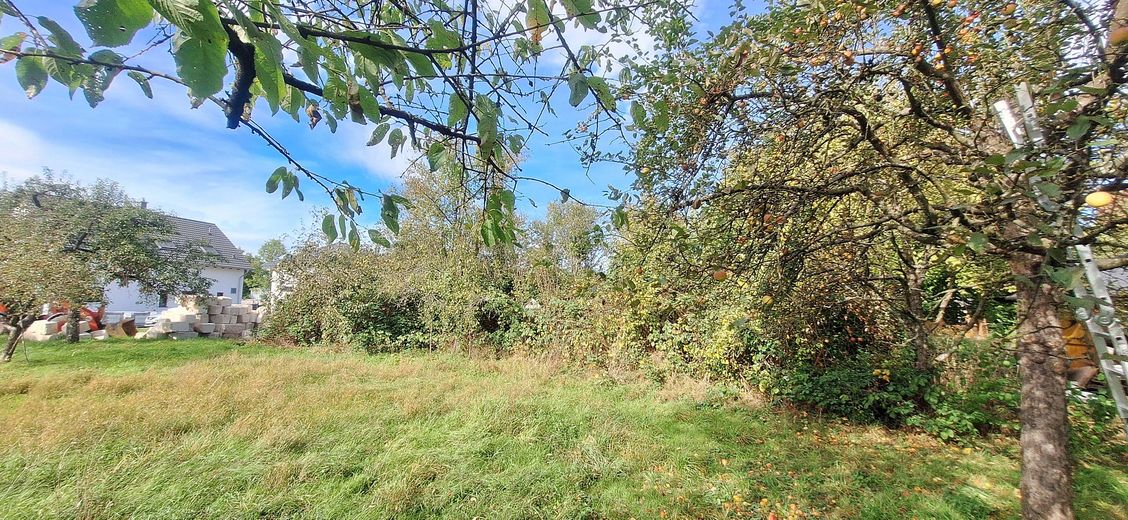 Im Sommer mit Bewuchs