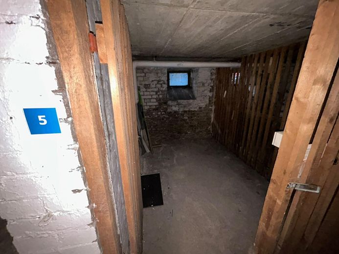 Erstbezug nach Renovierung - Apartment mit eigenem Garten und Garage in ruhiger Lage – Keller