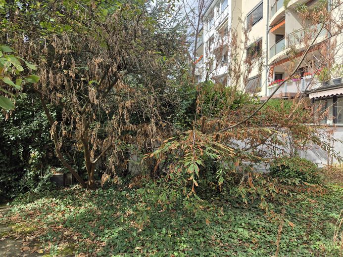 Studio legale o fisioterapia, in una buona posizione a Pempelfort, Rosenstr., bei luminosi e piacevoli con terrazza – Foto 21