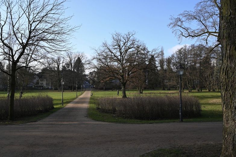 Kurpark 300m entfernt