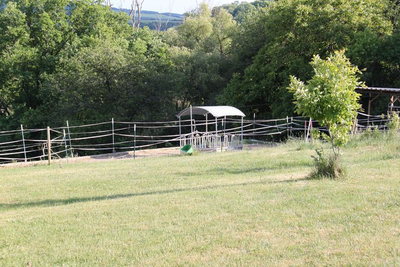 Paddock 1