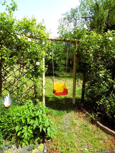 Gartenausschnitt I