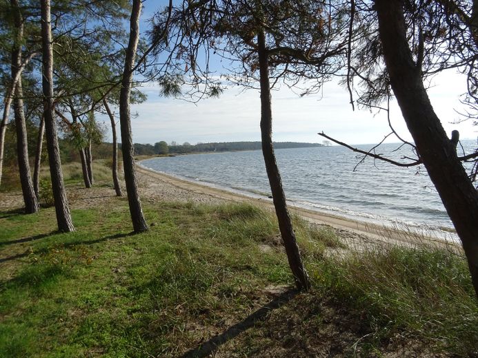 Hausstrand Palmer Ort