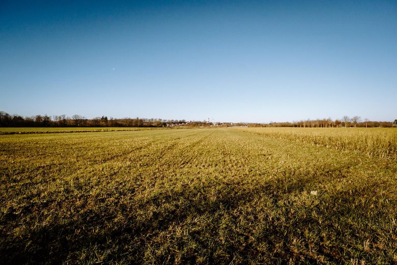 Natur pur trotz Stadtlage