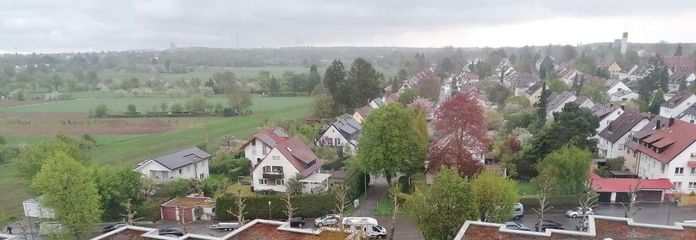 Fernblick