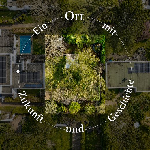 Ihr eigener Wald auf dem Dach  ---  Biotop statt Beton – Ansicht vom oben