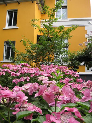 Im Garten