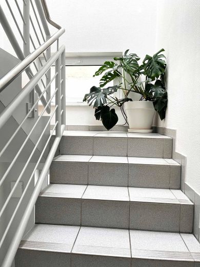 Einzigartige, ruhige Dachgeschosswohnung in Bonn Mitte – Treppenhaus