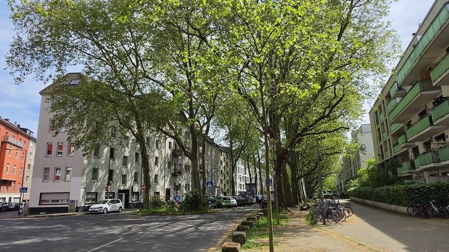 Ruhig zwischen Uni, Barbarossaplatz und Volksgarten - leerstehend mit STELLPLATZ (A384ms) – Frontansicht