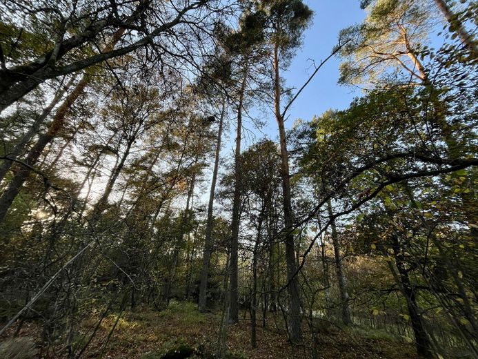 Wald nicht öffentl. zugänglich