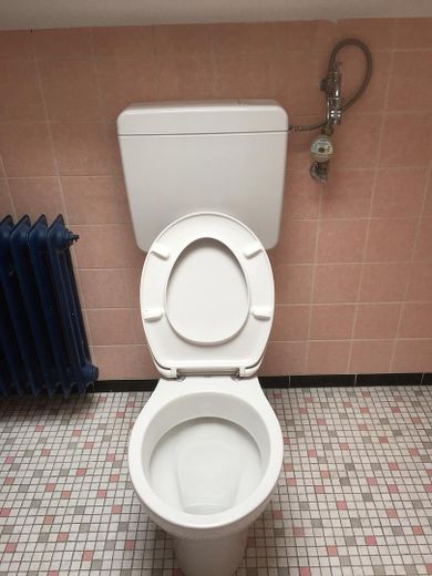 Whg. DG Bad/WC