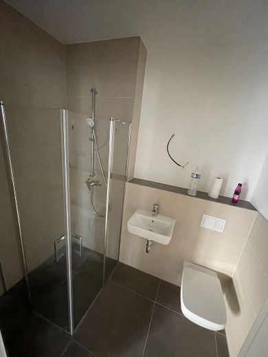 Neubau - Penthouse -  Fahrstuhl - Barrierefrei - TG-Stellplätze – Gäste WC mit Duschkabine