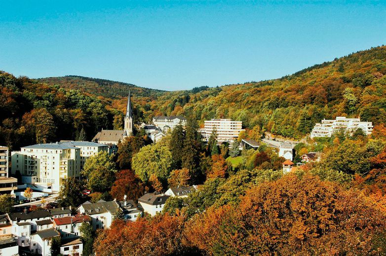 Apartamento dúplex de 4,5 habitaciones en el Kurpark de Schlangenbad – Schlangenbad