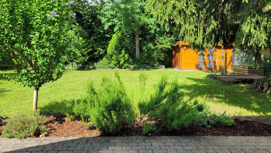 Garten (1/3)