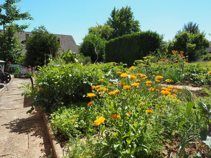 Gemüsegarten