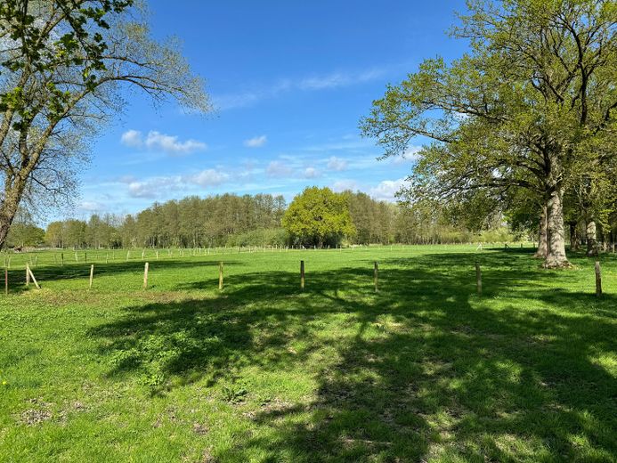 Exkl. Anwesen, Family-Office oder Pferdehof nur 64 km von Hamburg - max. bis 30 ha Eigenland möglich – Angrenzendes Eigenland