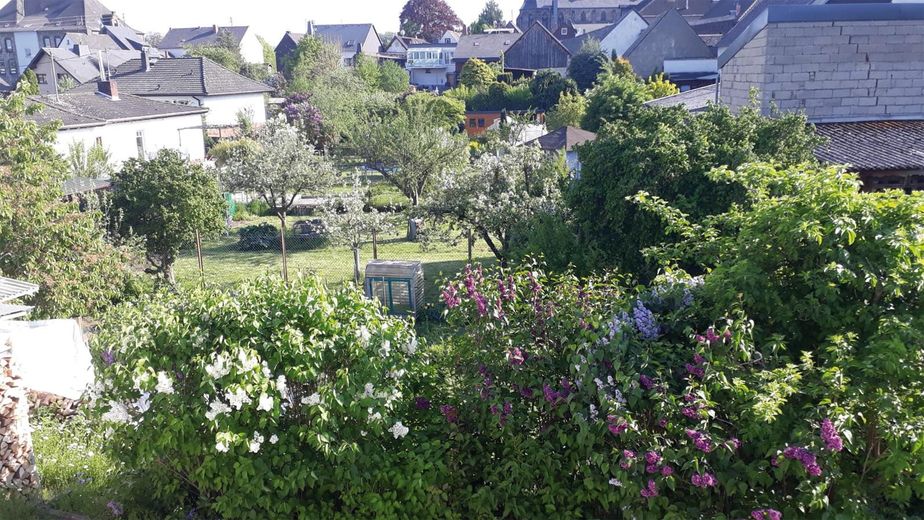 Ausblick