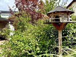 Außergewöhnliches Architektenhaus m. hochwertiger Ausstattung, Wohnkeller u. traumhaftem Südgarten – Foto 19