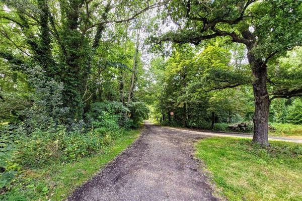 Posizione unica presso il bosco ripariale – ampio terreno edificabile a Schkeuditz