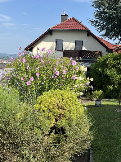 Casa unifamiliare indipendente ai confini immediati della città di Dresda – Blick von Terrasse /Gartenhaus