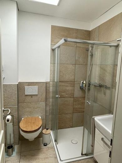 Duschbad (Gäste-WC)