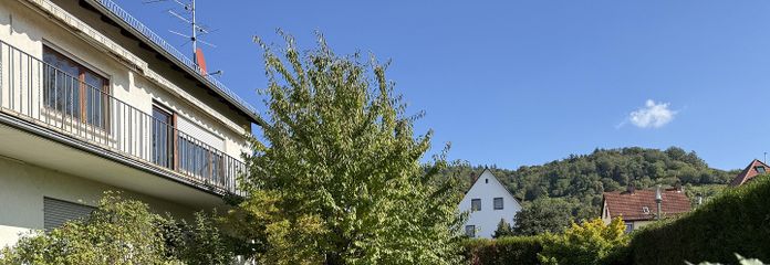 Außenansicht + Garten