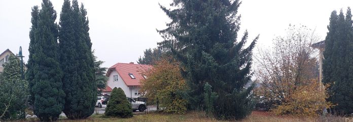 Blick aus dem hinteren Bereich