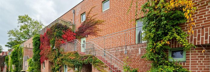 Bezugsfertige 2 Raumwohnung mit optimalem Grundriss am Wall in Greifswalder Innenstadt – Hirtenstraße