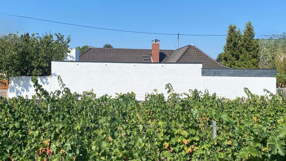 Luxuriöse Wohnoase am Weinberg: liebevoll saniert, privat verkauft. – Außenansicht am Weinberg