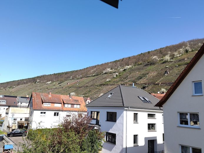 Blick auf die Weinberge
