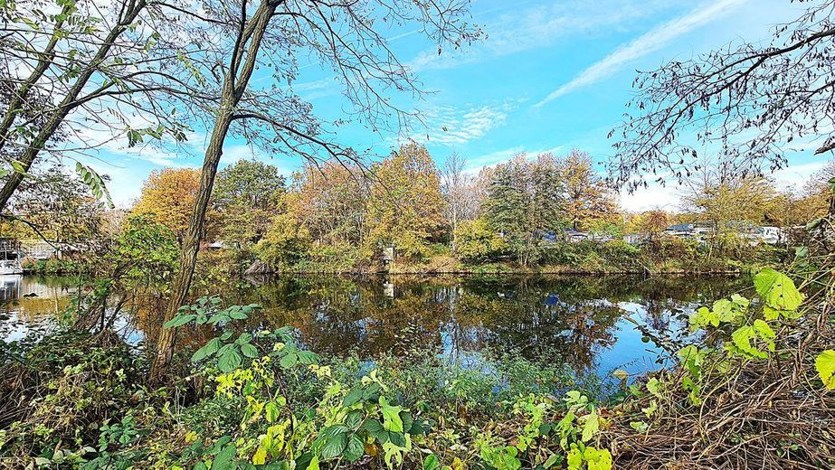 Baugrundstück mit Wasserblick, zwischen Grünau und Adlershof in bevorzugter Lage! – Foto 4