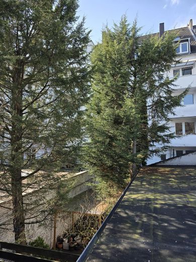 „The Garden Loft“ – Private Refuge of the Highest Class – Blick ins Grün